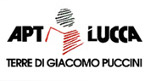 Logo di APT Lucca 